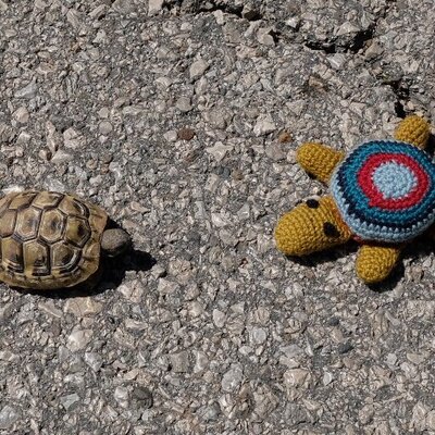 Marlens Maskottchen trifft eine Verwandte